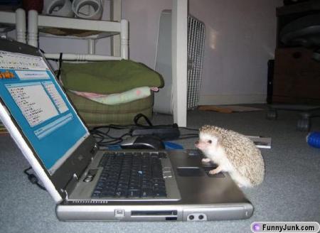 tech